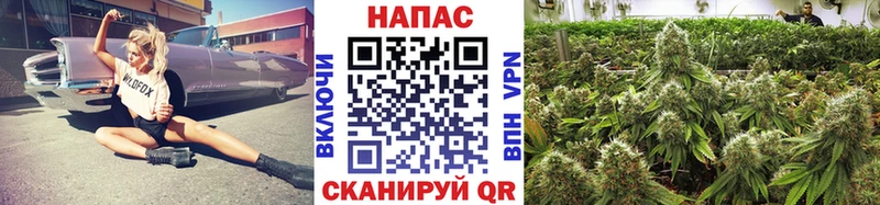 Галлюциногенные грибы Хотьково