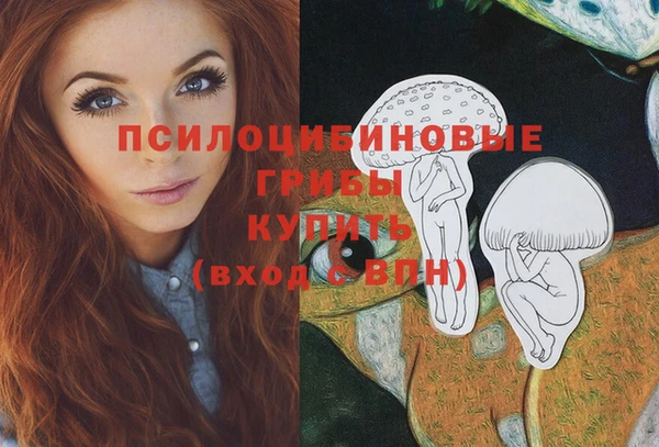МДПВ Аркадак