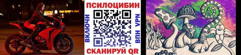 где купить   Хотьково  Галлюциногенные грибы GOLDEN TEACHER 